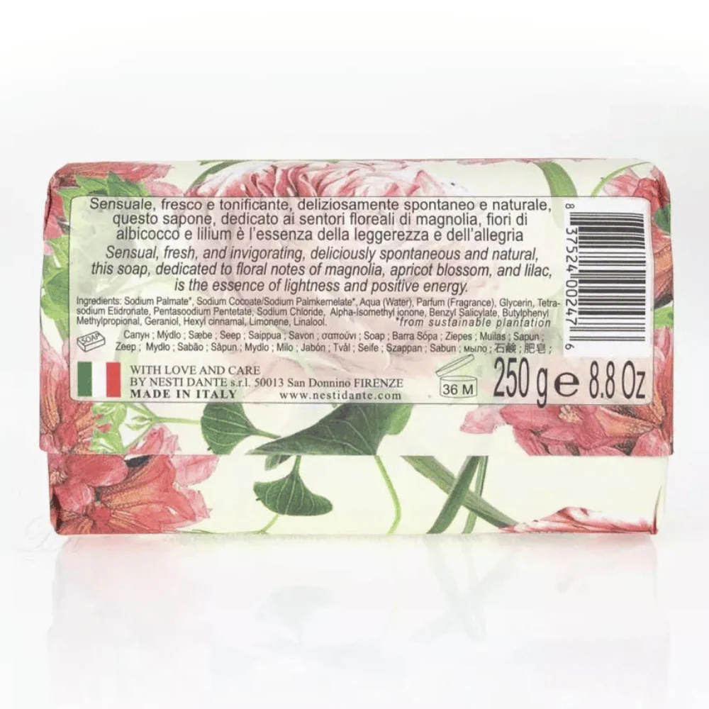Nesti Dante Dolce Vivere Pisa Soap 250g - Image 2