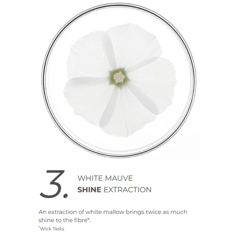 Phyto Purple Routine Bundle - Image 6